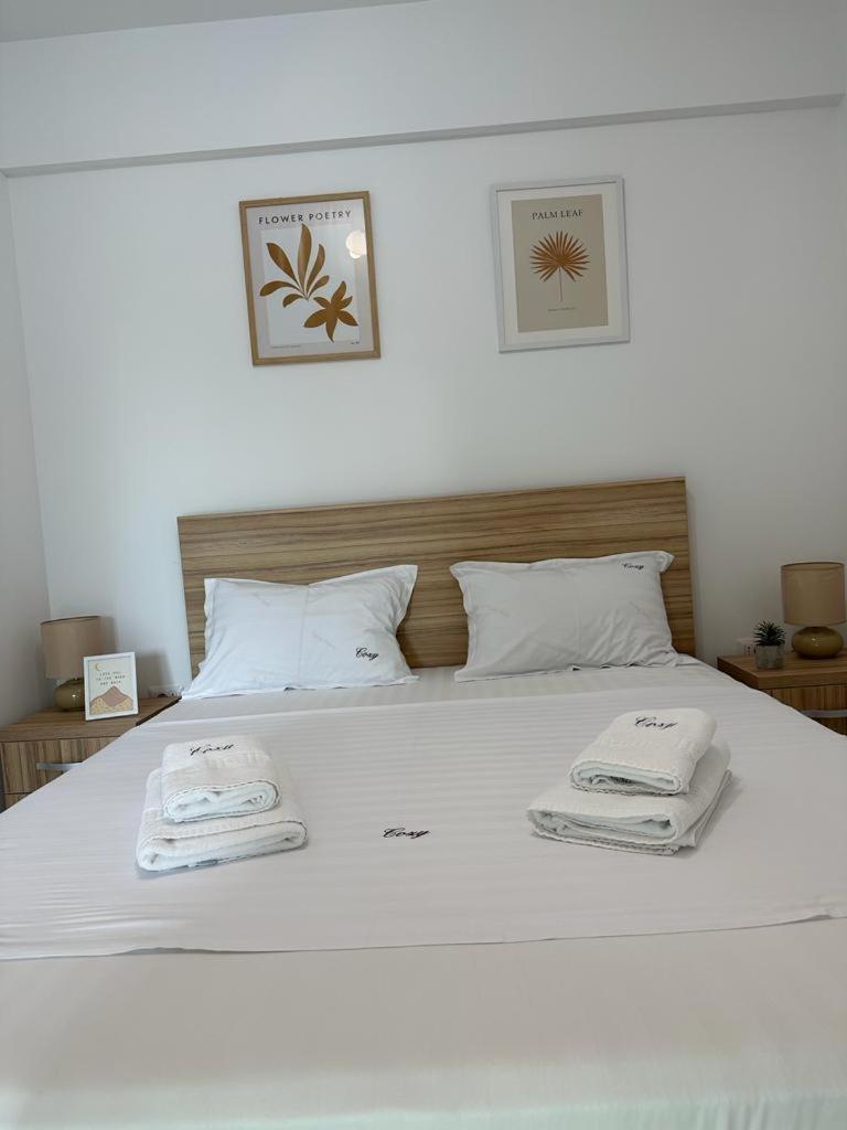 Cozy Holidays In Center Of Esplanada